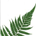 thelclyp6a